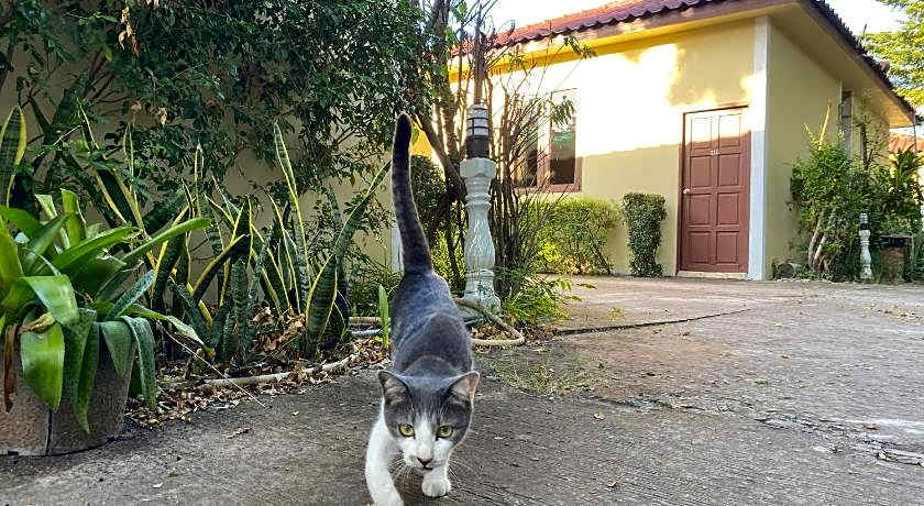 Pon Thong View Resort