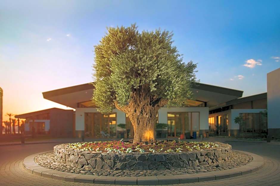 Setai Sea Of Galilee