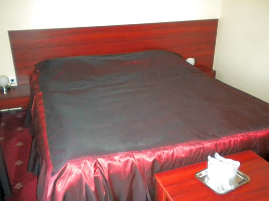 Hotel Ary