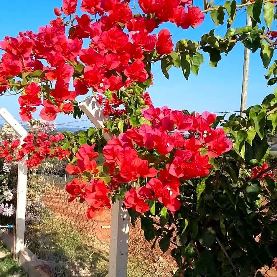 Pousada e Chales Por do Sol