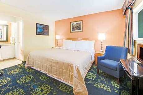 1 King Bed Non-Smoking