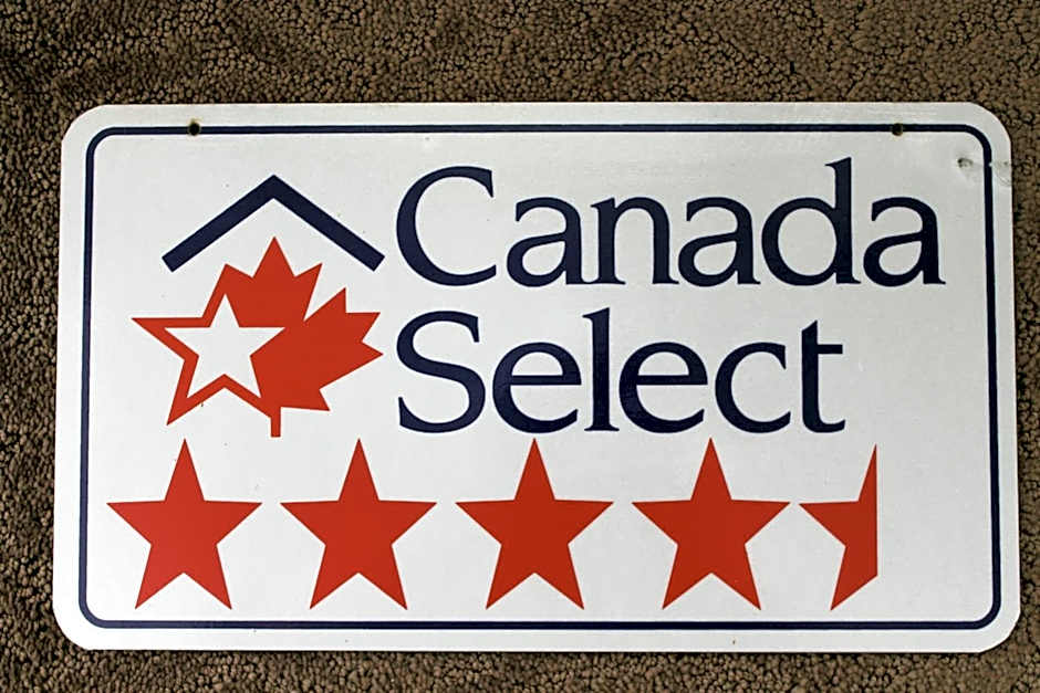 The Fiddle and the Sea Bed and Breakfast