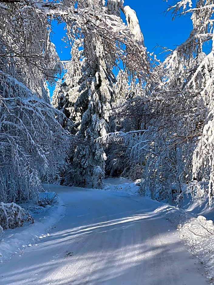 Hotel und Berggasthof Tanzbuche