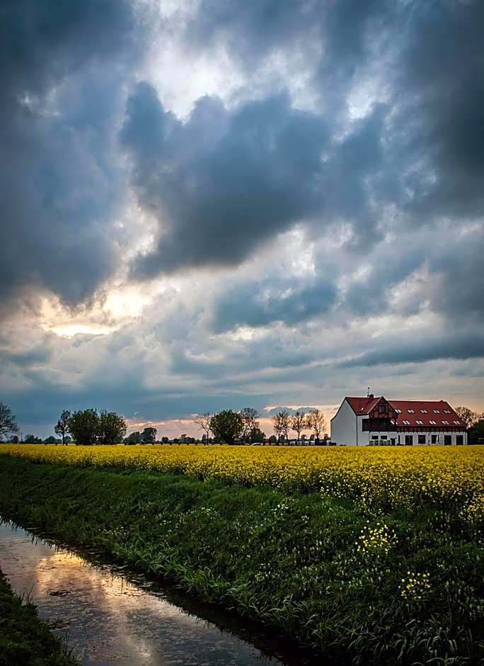 Folwark Żuławski