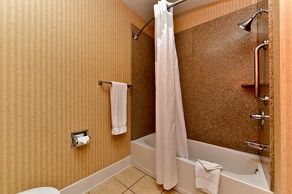 Holiday Inn Express Hotel & Suites Elk Grove Ctrl - Sacramento S By IHG