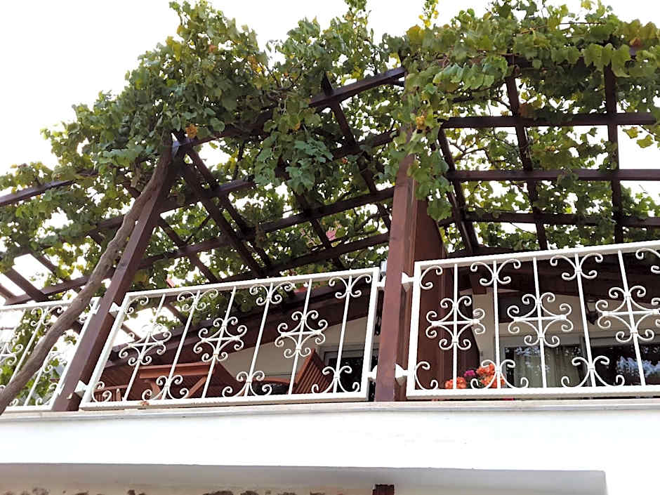 Lemon Villa Hotel - Adult Only