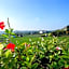 Le vigne sull’Adda