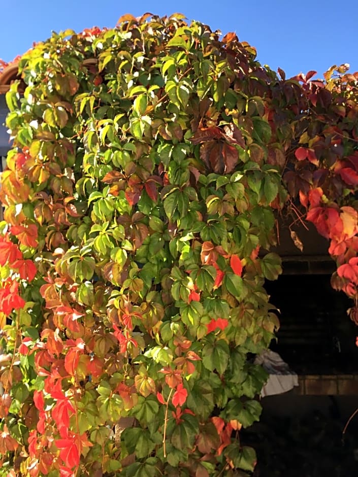Chambres Table d'hotes Carpe diem