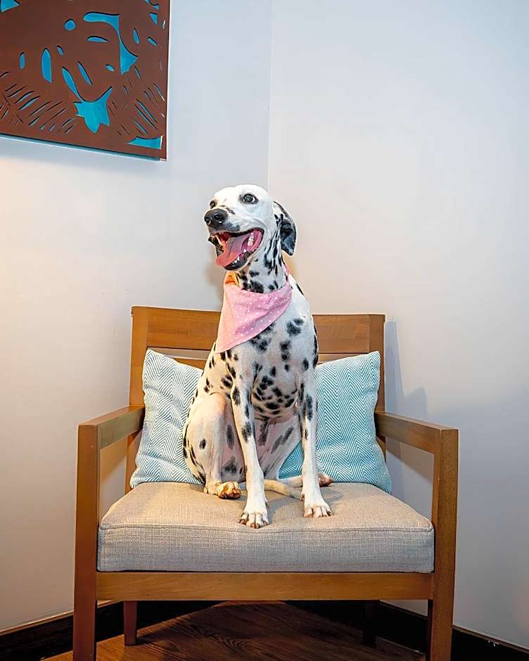 Holiday Inn Express Yopal By IHG