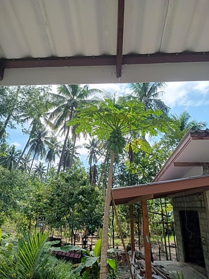 Chom Suan Farmstay