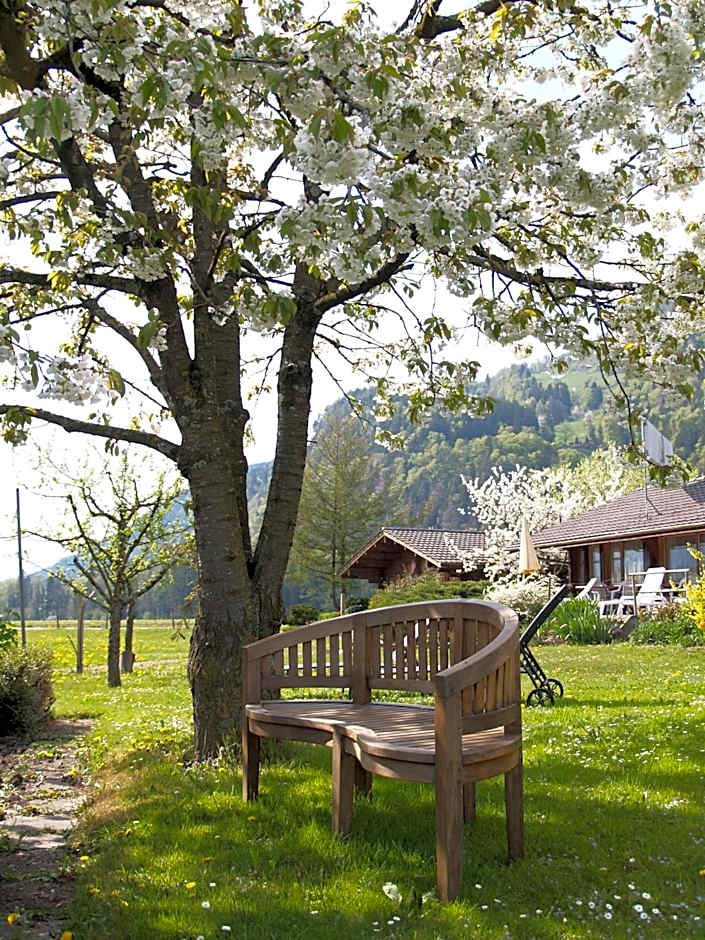 Salzano Basic Rooms Interlaken