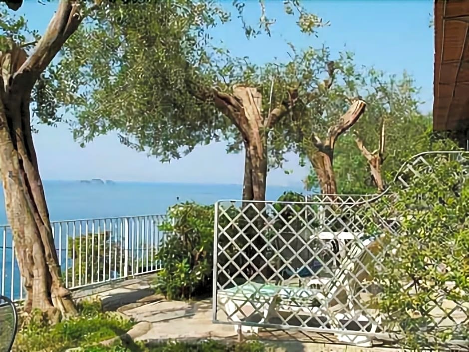 La Maliosa D' Arienzo