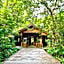 Rimba Orangutan Eco Lodge