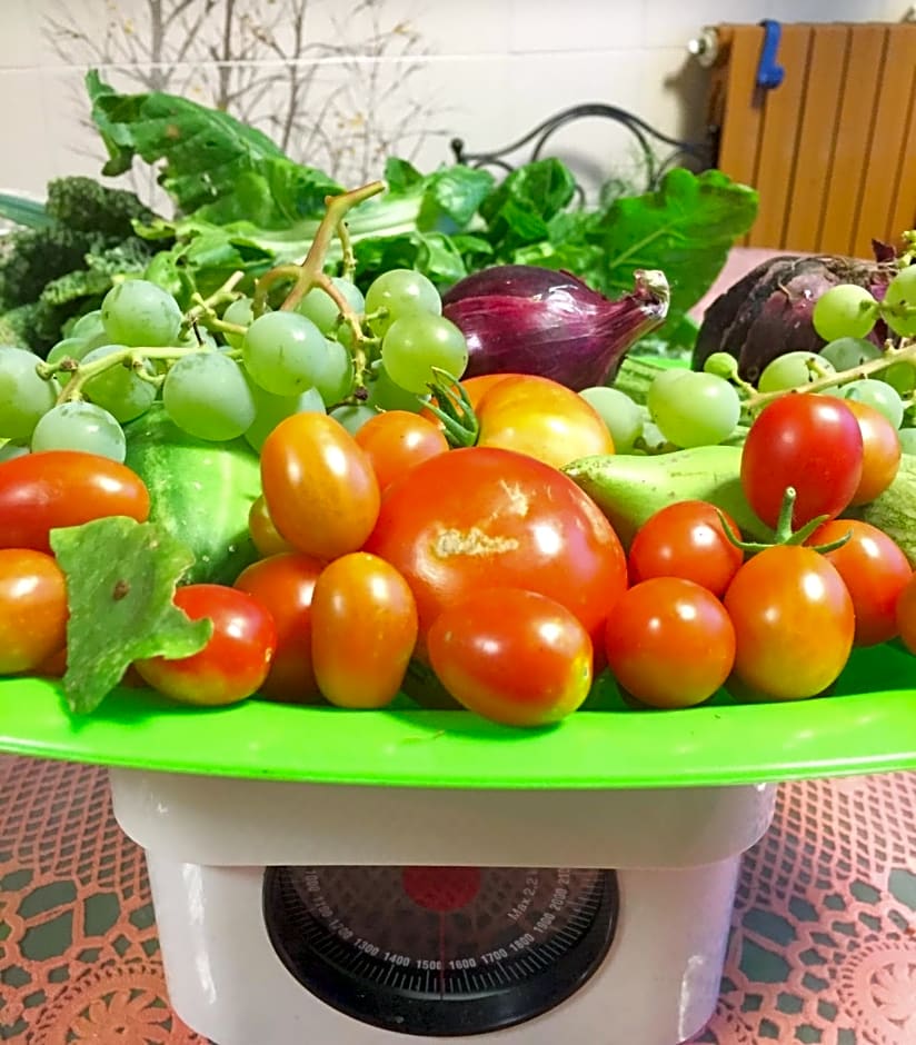 Eco Bed & Breakfast I Due Oleandri – Marina di Carrara, WI