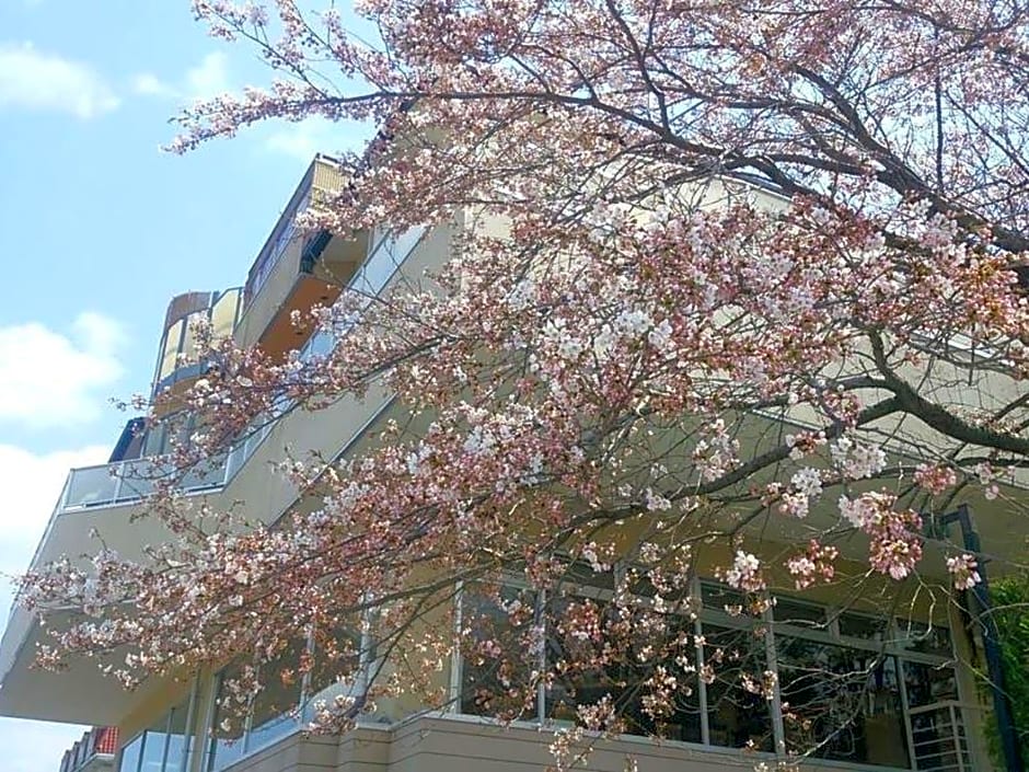 Lakeland Hotel Mizunosato