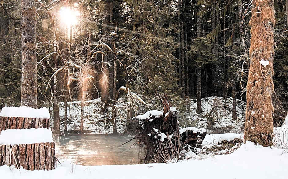 Cowichan River Lodge