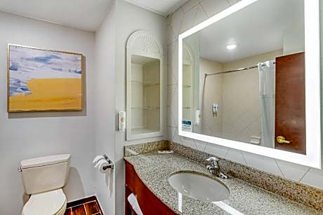 1 King Bed, Suite, Nonsmoking
