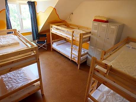 Bed in 6-Bed Mixed Dormitory Room