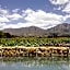 Duikersdrift Winelands Country Escape