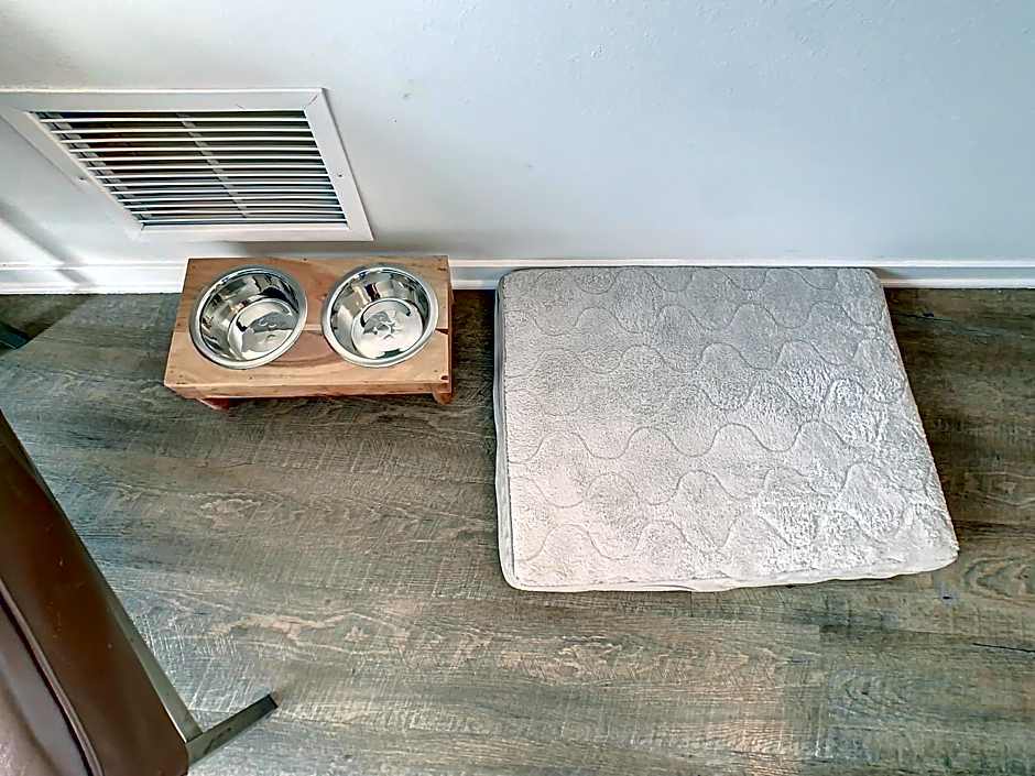 Pet Friendly in Orlando area near Disney