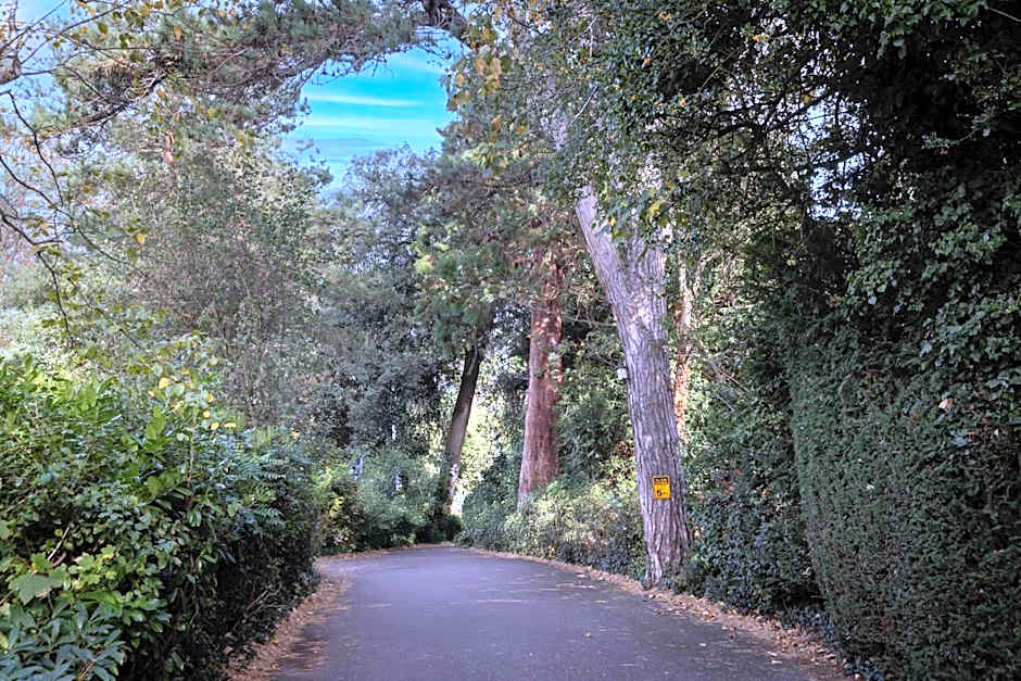 Best Western Abbots Barton Hotel