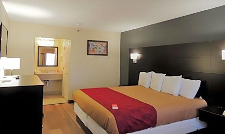 1 King Bed, Nonsmoking