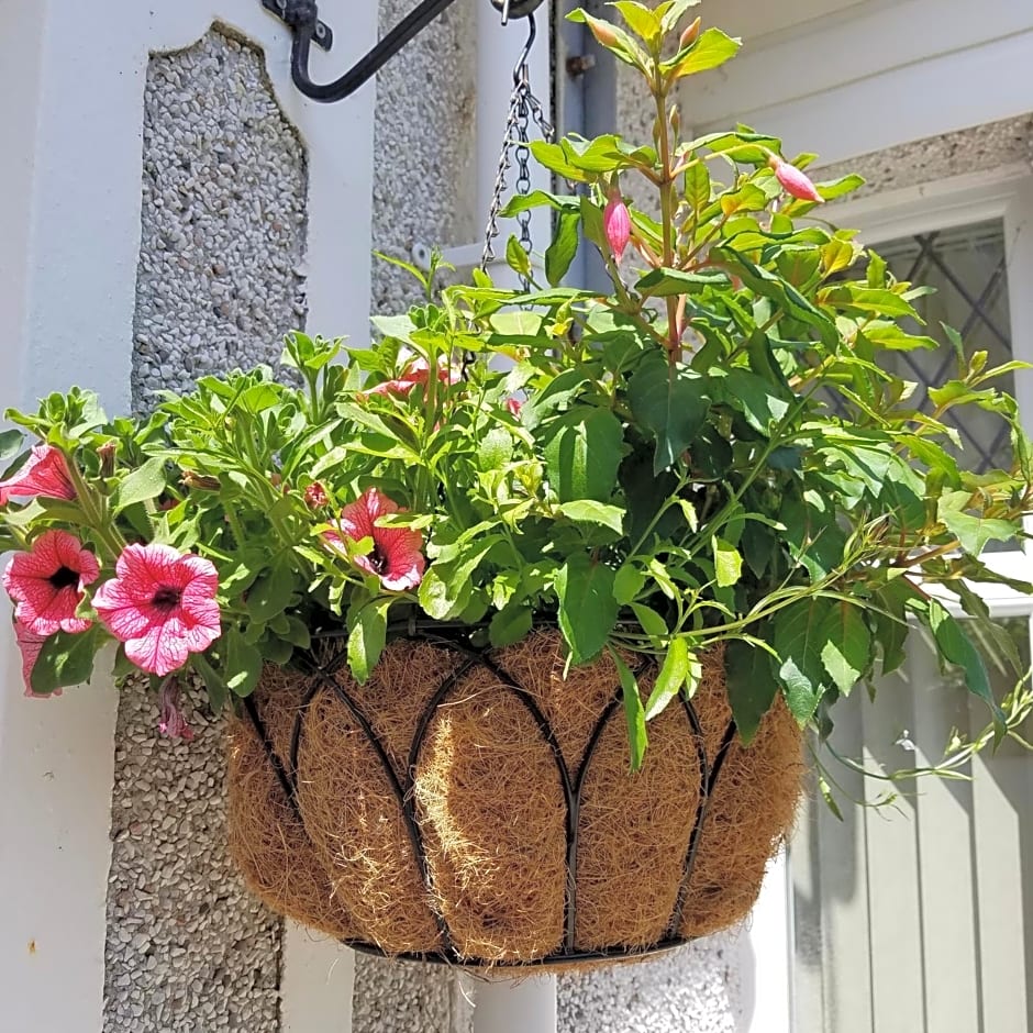 Eden's Rest Bed and Breakfast