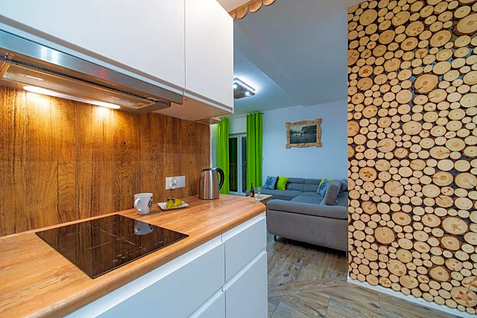 Apartamenty u Gąsieniców Zakopane