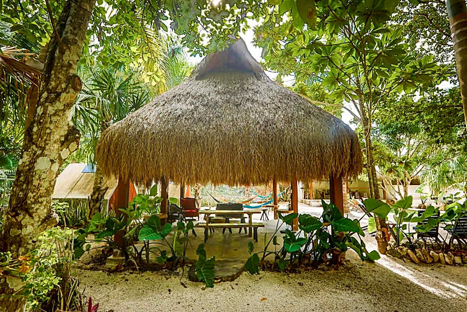 Bufo Alvarius Sanctuary Bacalar