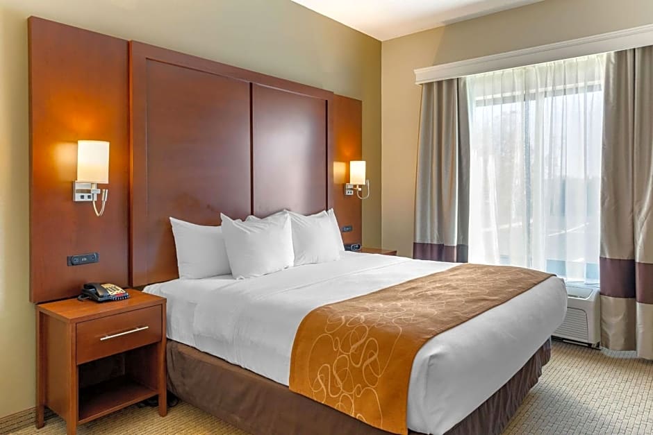 Comfort Suites Lancaster Amish Country
