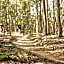 Spicers Hidden Vale