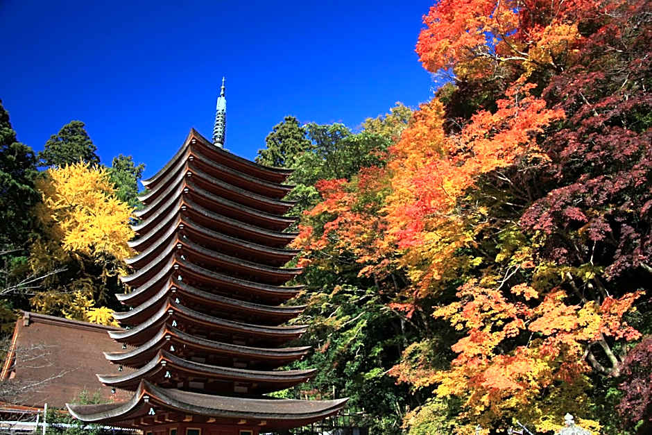 多武峰観光ホテル