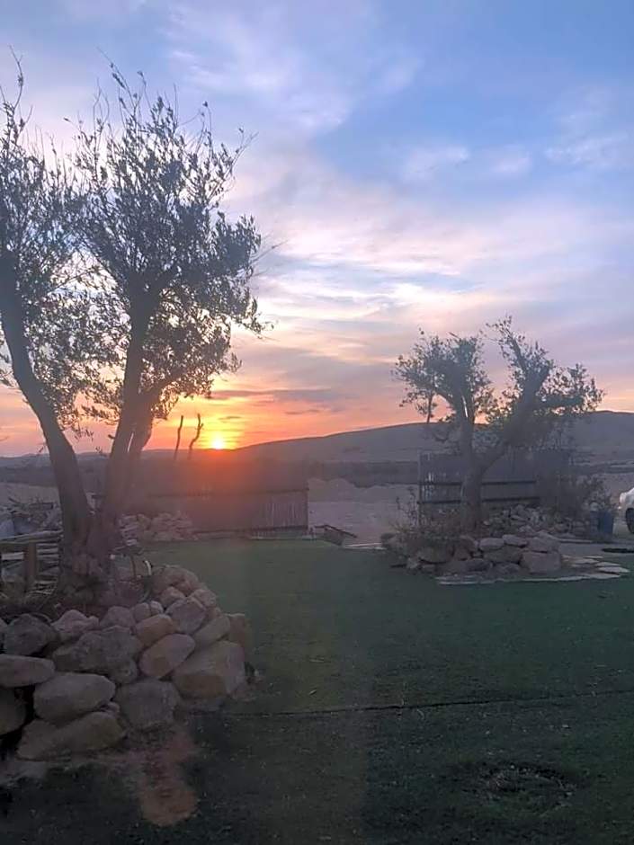 שיח מדבר לינה בנגב Burning Bush Negev