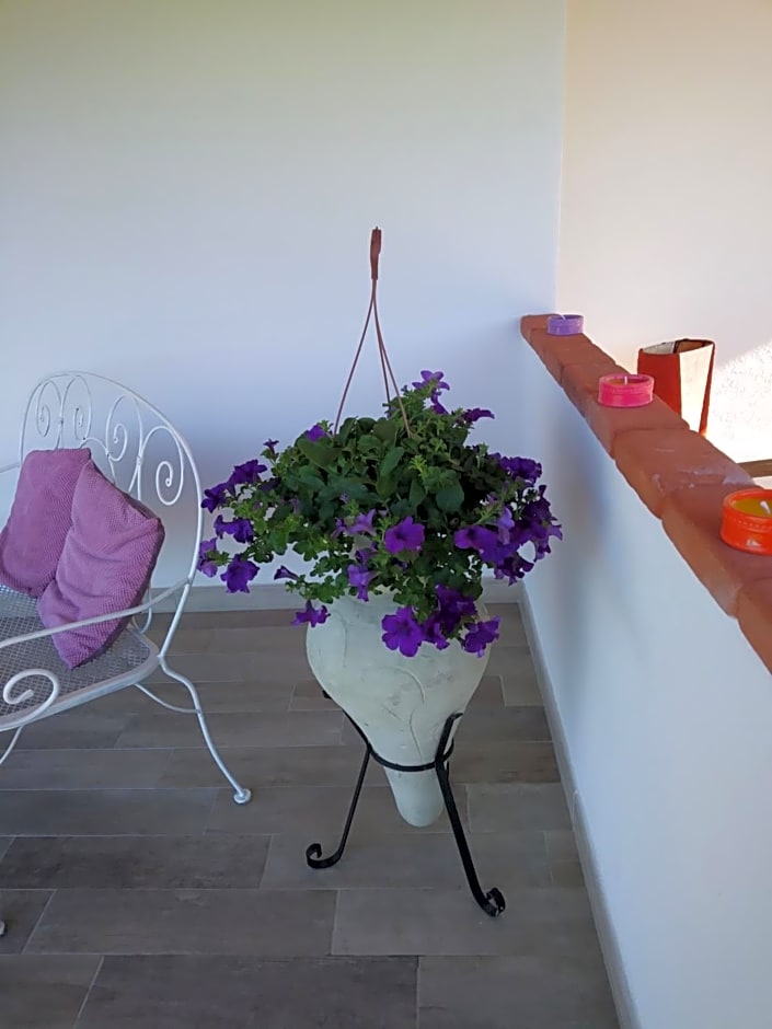 SardAma B&B Affittacamere