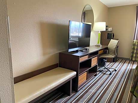 King Room - Non-Smoking