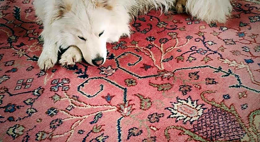 Bed & Breakfast - La closerie de la Fuye