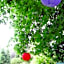 Bowral Road Bed and Breakfast