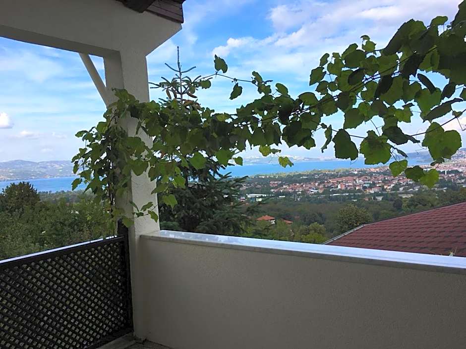 Sapanca Dilek Konagi Hotel