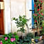 Loft Apartment , La Terrasse Centre Ville d'Arles,