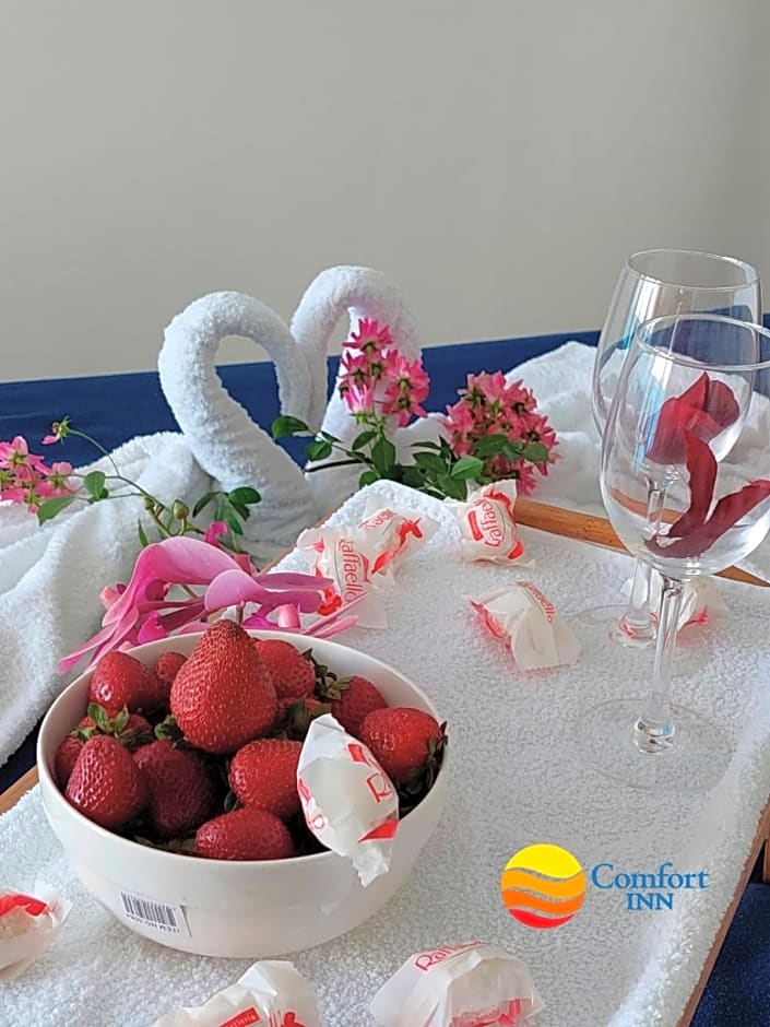 Comfort Inn ☆ Orbi City