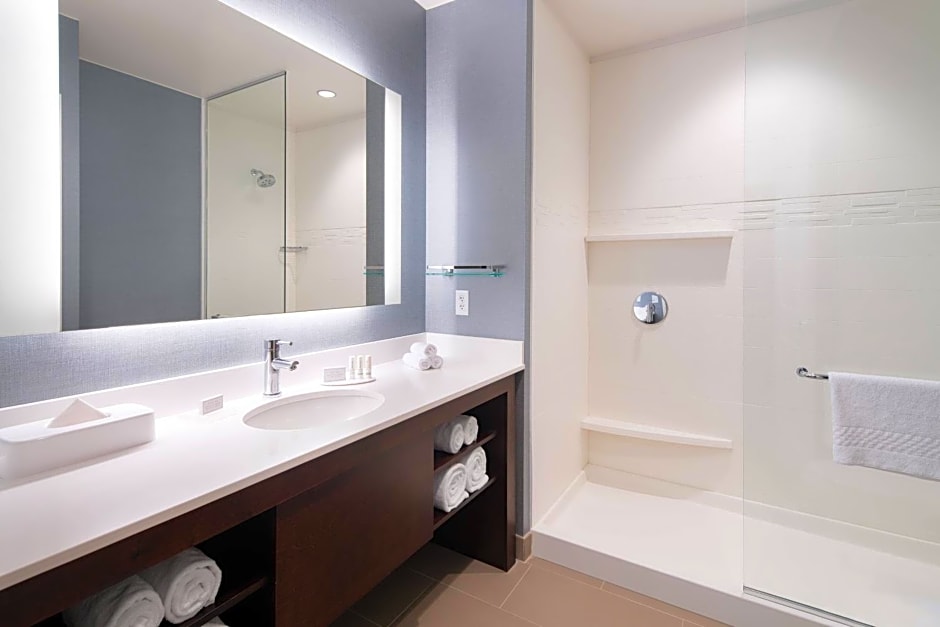 Residence Inn by Marriott Chicago Downtown/Loop