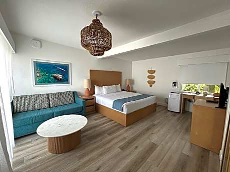 King Room with Sofa Bed - Deck View