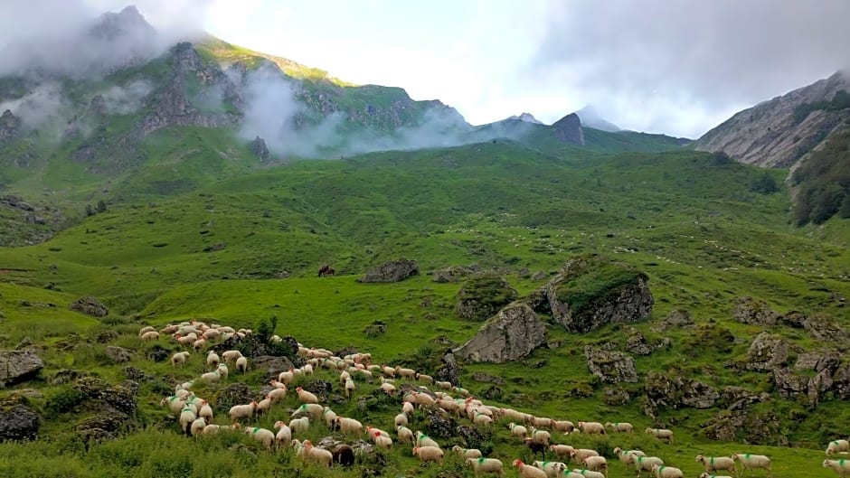 G¿ de montagne du Plateau de Lhers