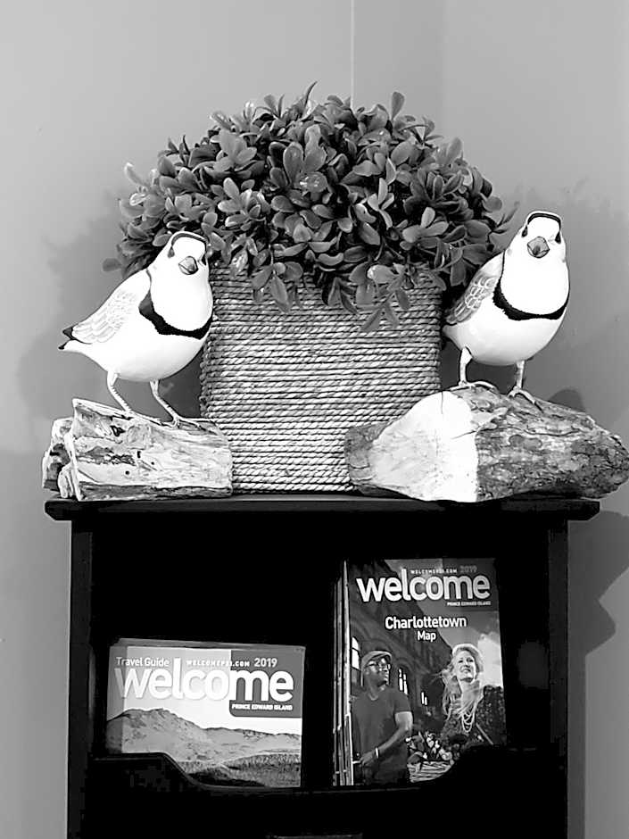 Serendib Bed and Breakfast