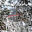 Hotel Albula & Julier