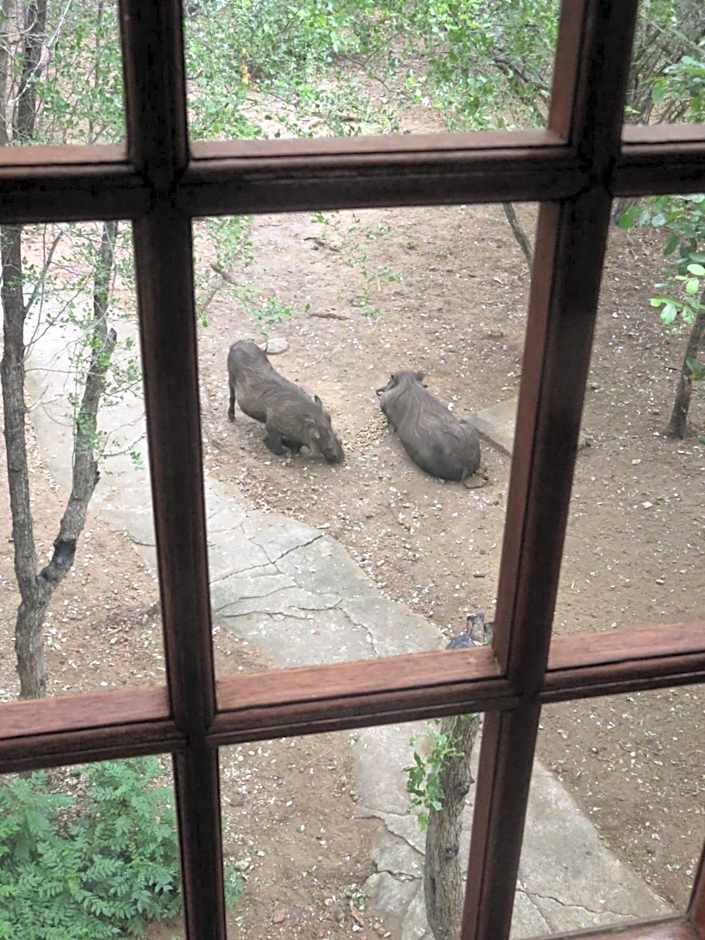 Kruger Private Lodge