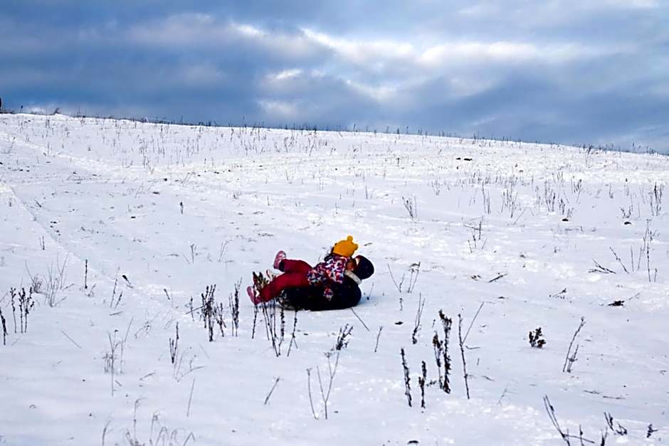 Domki pod Bukowym Lasem