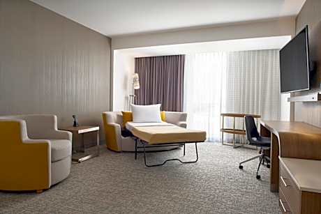 Suite, 1 King Bed, Non Smoking,City View