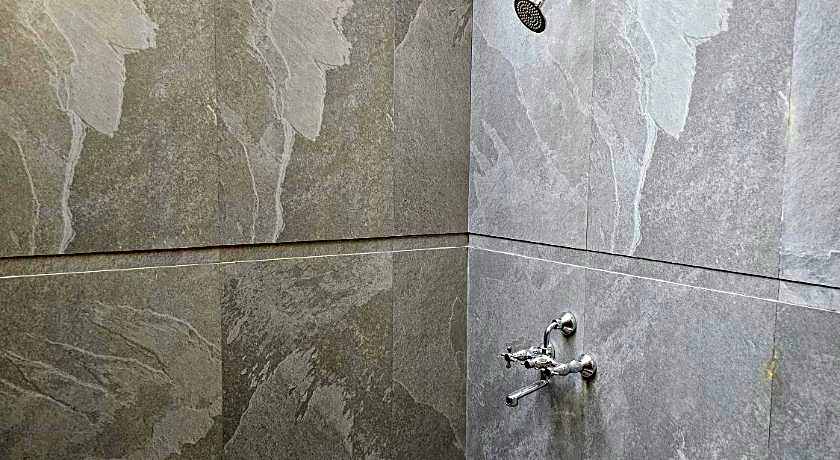 The Celebration Van Vilas