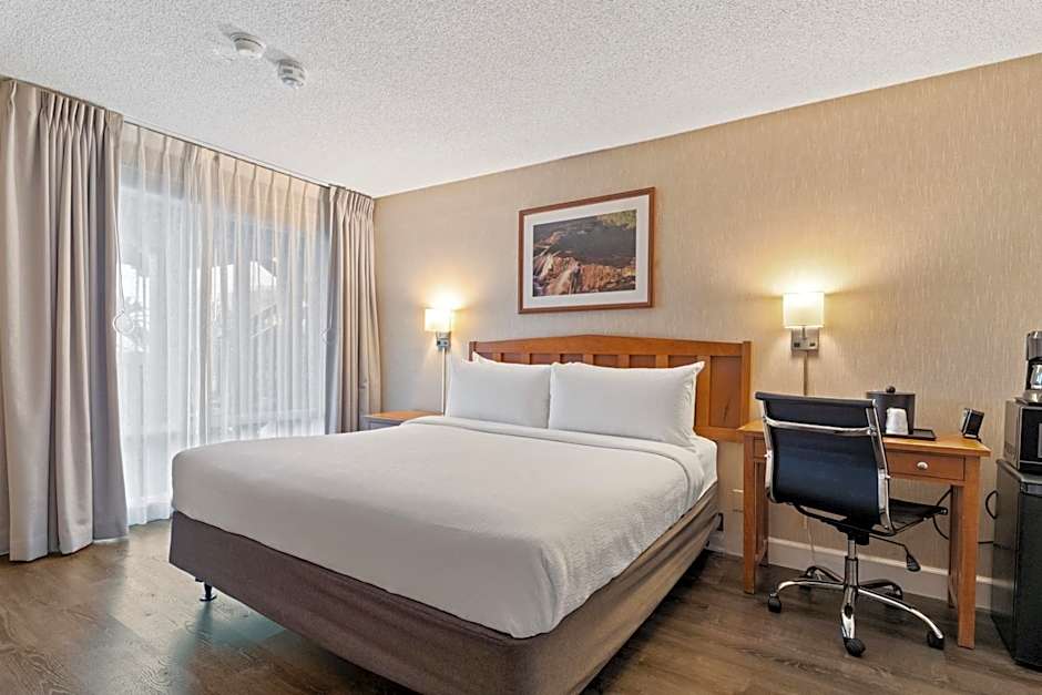Vagabond Inn Executive - San Francisco Airport Bayfront (SFO)